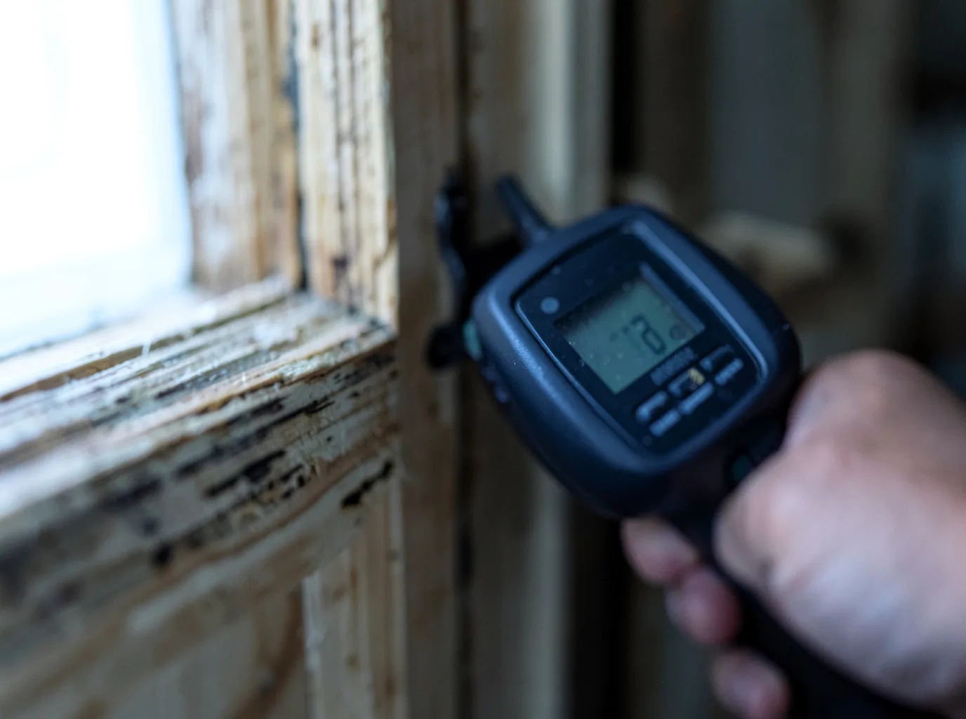 Moisture Inspection And Documentation in Jackson Springs, NC